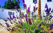 Туры в отель Hotel Ronda Moments