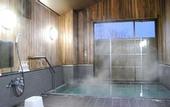 Туры в отель Hakuba Panorama Hotel