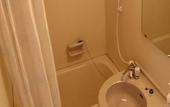 Туры в отель Hakuba Panorama Hotel