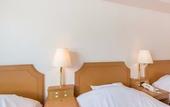 Туры в отель Hakuba Panorama Hotel