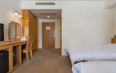 Туры в отель Hakuba Panorama Hotel