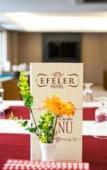 Туры в отель Efeler Hotel