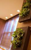 Туры в отель Super Hotel JR Naraekimae Sanjodori