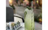 Туры в отель The Box Riccione - Adults Only