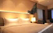 Туры в отель Shen Zhen Bay Royce Hotel