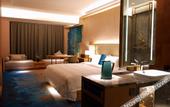 Туры в отель Shen Zhen Bay Royce Hotel
