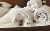 Туры в отель Athos Hotel