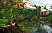 Туры в отель Incosol Hotel Medical Spa & Resort