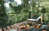 Туры в отель IGUAZU JUNGLE HOTEL