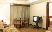 Туры в отель Dan Inn Hotel Planalto