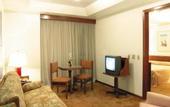 Туры в отель Dan Inn Hotel Planalto