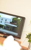 Туры в отель Concorde Hotel Viktoria