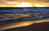 Туры в отель Induruwa Beach Resort