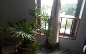 Туры в отель Hotel De Condor
