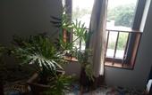Туры в отель Hotel De Condor