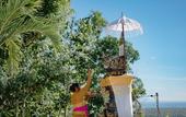 Туры в отель Sundi Villa Penida