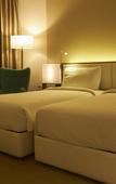 Туры в отель Mercure Chennai Sriperumbudur Hotel