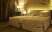 Туры в отель Mercure Chennai Sriperumbudur Hotel