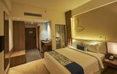 Туры в отель Mercure Chennai Sriperumbudur Hotel