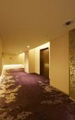 Туры в отель Hotel Metropolitan Saitama Shintoshin