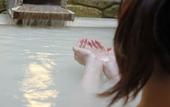 Туры в отель Onsen Ryokan Mitake