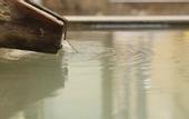 Туры в отель Onsen Ryokan Mitake