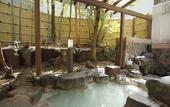 Туры в отель Onsen Ryokan Mitake