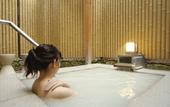 Туры в отель Onsen Ryokan Mitake