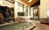 Туры в отель Onsen Ryokan Mitake