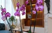 Туры в отель Hotel Rua Frati 48 in San Francesco