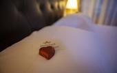 Туры в отель Hotel Rua Frati 48 in San Francesco