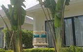 Туры в отель Cocoland Thu Xa Ancient Town Hotel & Resort