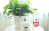 Туры в отель GreenTree Inn (Beijing Chaoyang District Maquanying Metro Station)