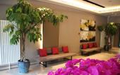 Туры в отель Homeinn Plus Hotel (Beijing Zhongguancun Area Wudaokou)
