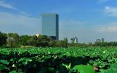 Туры в отель Jingcheng International Hotel