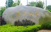 Туры в отель Lotus Villa Hotel