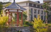 Туры в отель Lotus Villa Hotel