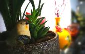 Туры в отель The Beyond Villa Guilin Boutique Hotel