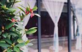 Туры в отель The Beyond Villa Guilin Boutique Hotel