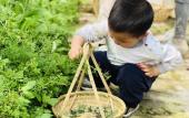 Туры в отель The Beyond Villa Guilin Boutique Hotel