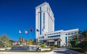 Туры в отель Howard Johnson New District Plaza ZiYang