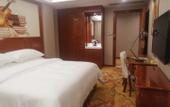 Туры в отель Vienna Hotel (Longmen)