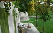 Туры в отель Naturalis Bio Resort & Spa