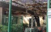 Туры в отель Hotel Il Tesoro Pompeiano