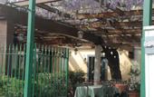 Туры в отель Hotel Il Tesoro Pompeiano