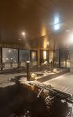 Туры в отель Dormy Inn Kawasaki Natural Hot Spring