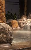 Туры в отель Dormy Inn Kawasaki Natural Hot Spring
