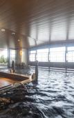 Туры в отель Dormy Inn Kawasaki Natural Hot Spring