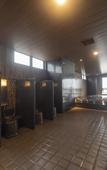Туры в отель Dormy Inn Kawasaki Natural Hot Spring