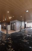Туры в отель Dormy Inn Kawasaki Natural Hot Spring